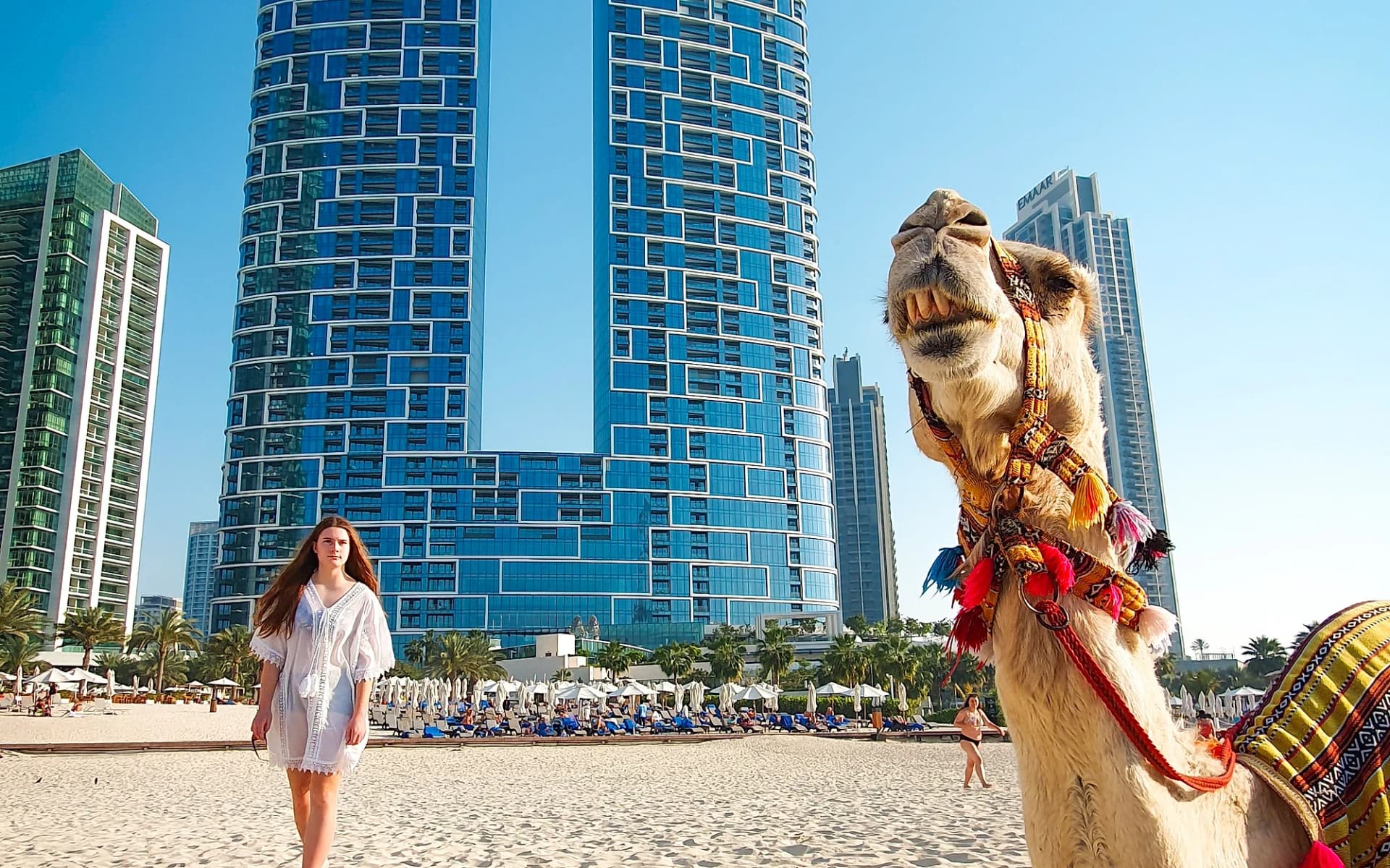 JBR sahilinde süslü bir deve ve arkada Address Beach Resort kulesi