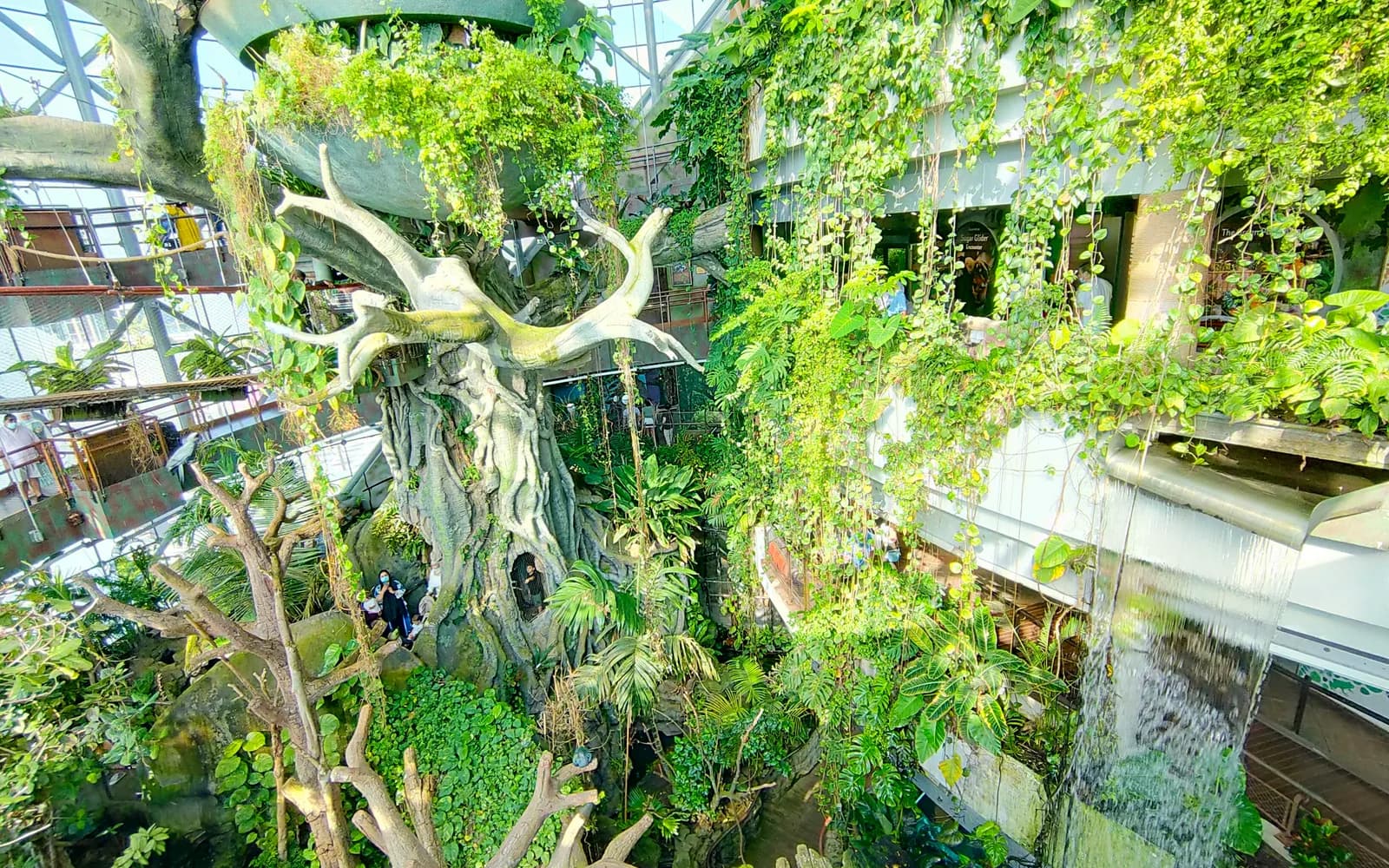 The Green Planet'in kapalı tropikal yağmur ormanında dev merkez ağaç yapısı ve şelale